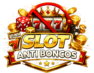 slot anti boncos logo